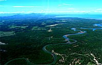 Madagascars' rainforest and climate